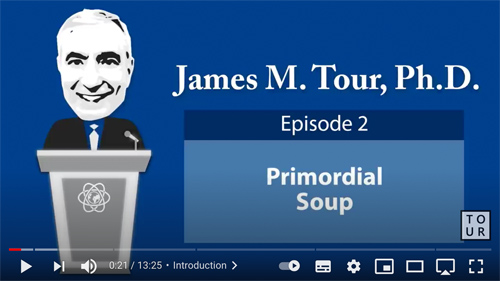 E2 Primordial Soup