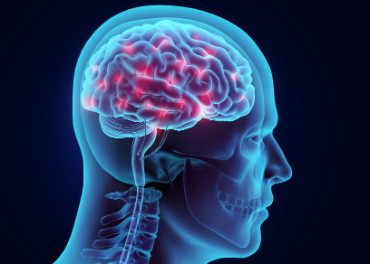 3D illustration of active brain nervous system